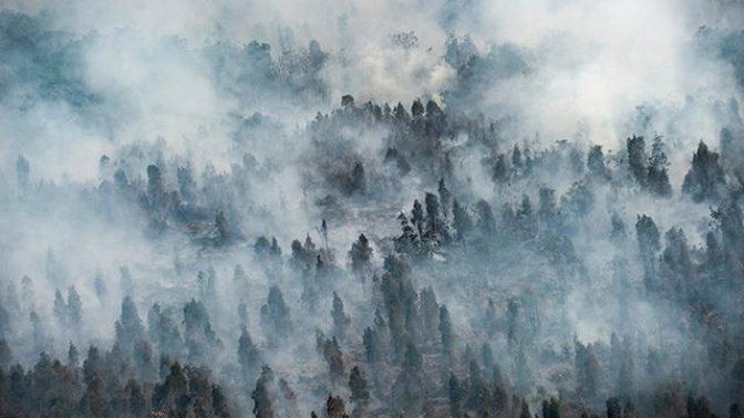 Indonesia - một tấm gương cho việc chống lại nạn cháy rừng.